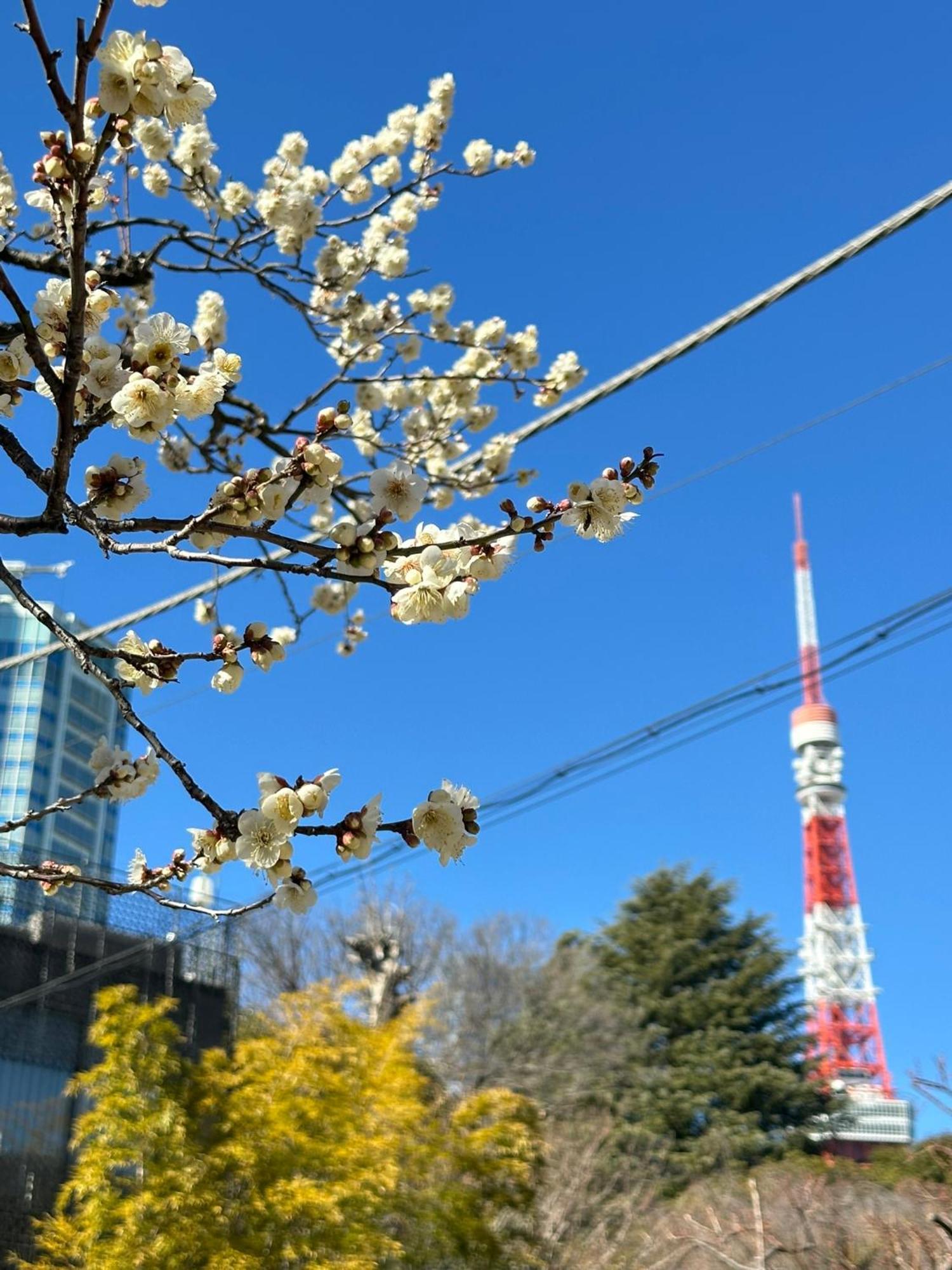 Rose Stay Tokyo Shiba Park Εξωτερικό φωτογραφία